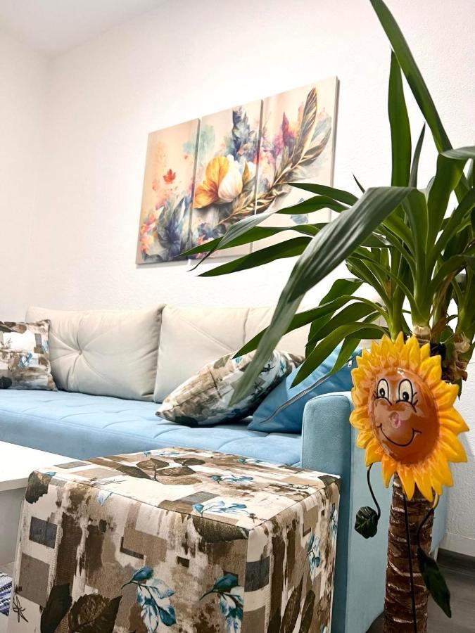 M Apartman Foca Luaran gambar